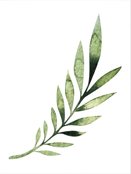 Poster »Kvilis - Palm Leaf«