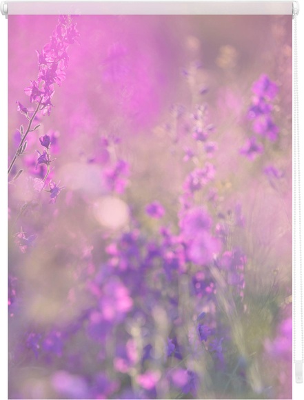 LICHTBLICK ORIGINAL Seitenzugrollo »Klemmfix Motiv Blumenwiese«, Lichtschutz, ohne Bohren, freihängend