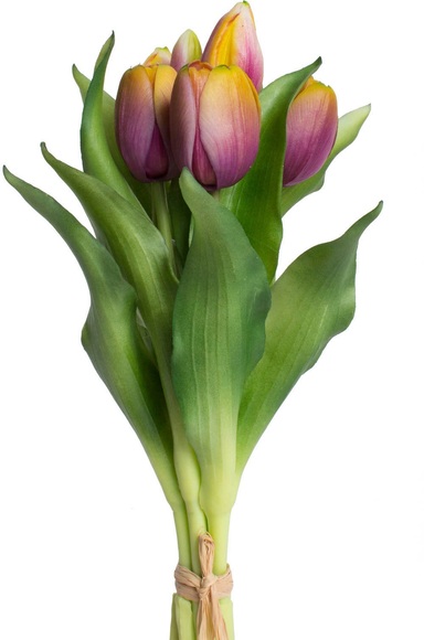 DELAVITA Kunstblume »Willa«, (Set, 7 St.), Tulpenbündel im 7er-Set