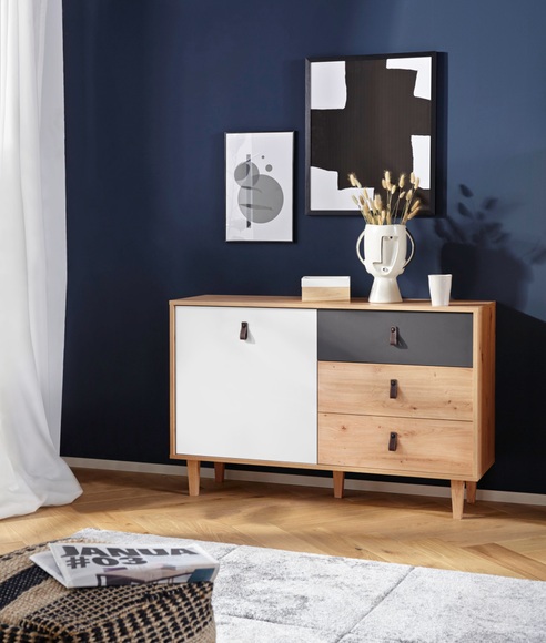 Homexperts Sideboard »Bristol«