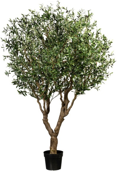 Creativ green Kunstbaum »Olive«, mit detailgetreuer Gestaltung