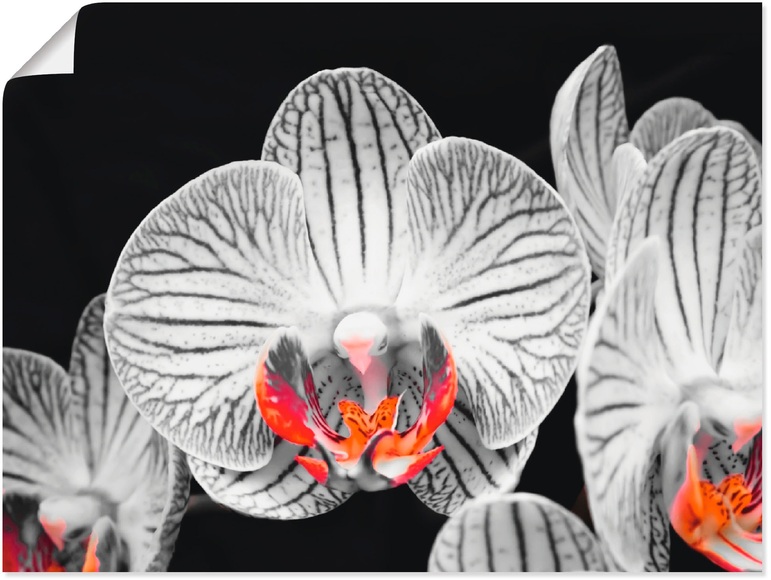 Artland Wandbild »Orchidee abstrakte Collage IV«