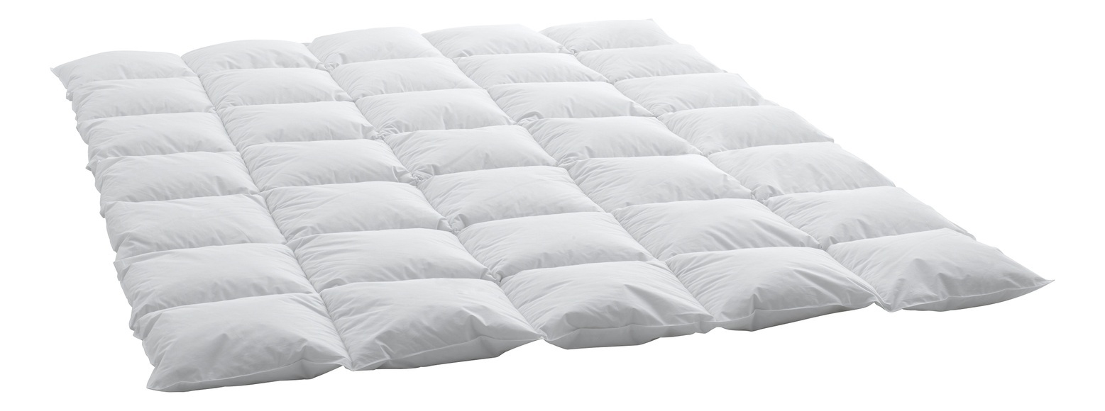billerbeck Daunenbettdecke »Basic 90«, warm, Füllung 90% neuen, reinen Entendaunen und 10% Entenfedern, Bezug 100% Baumwolle, soft-touch-finish?, hydrophil und atmungsaktiv, (1 St.), Swiss Made