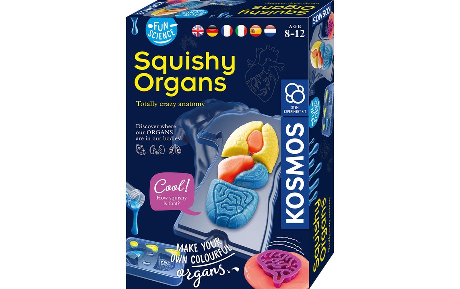 Kosmos Fun Science Squishy Organs Multicolor