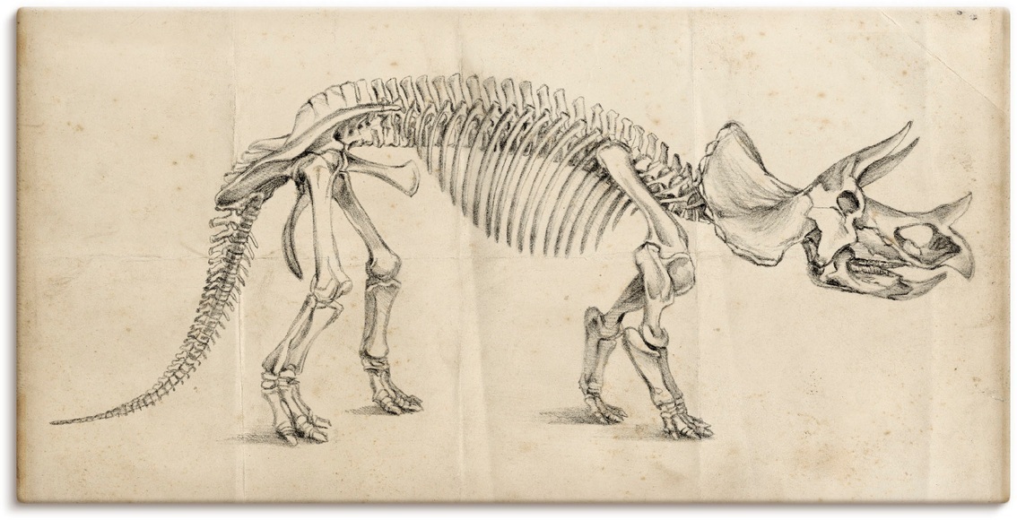 Artland Wandbild »Dinosauria Lehre II«