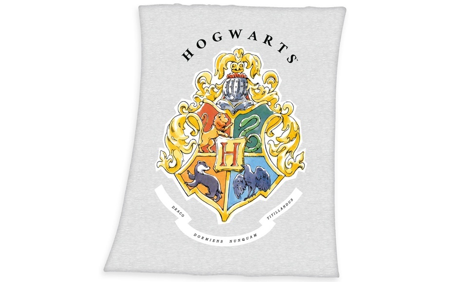 HERDING Fleecedecke Harry Potter Hogwarts 130 x 160 cm