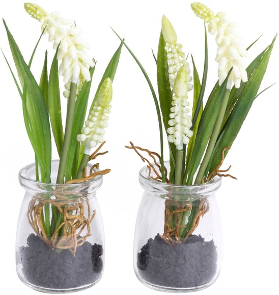 Botanic-Haus Kunstblume »Muscariarrangement im Glas«, (Set, 2 St.)