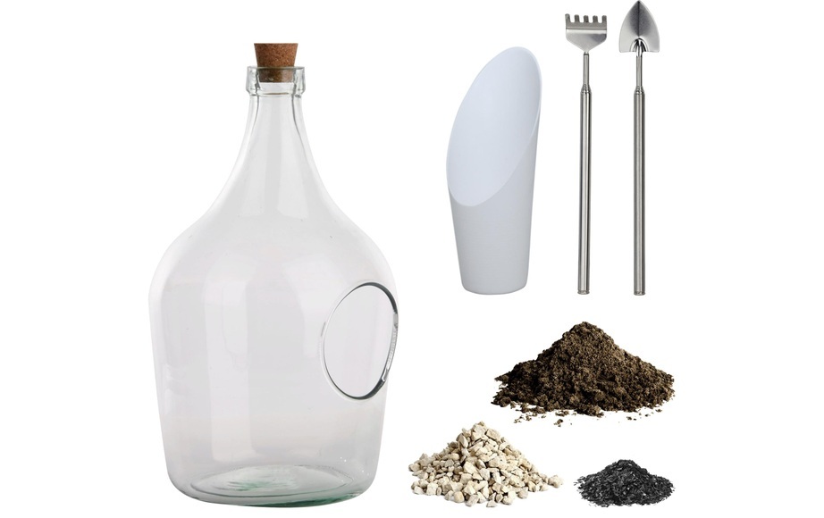 DIY Plant-Set offene Terrariumflasche 3L