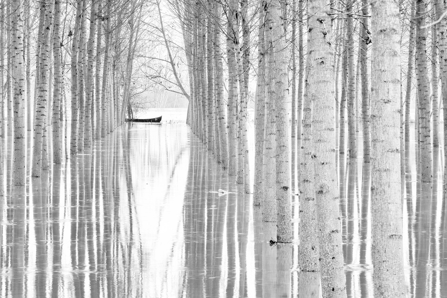 Papermoon Fototapete »Photo-Art AGLIONI SIMONE, BEWEGUNGSFREIHEIT«, Vliestapete, hochwertiger Digitaldruck, inklusive Kleister