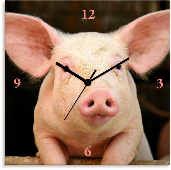 Artland Wanduhr »Vorwitziges Schwein«