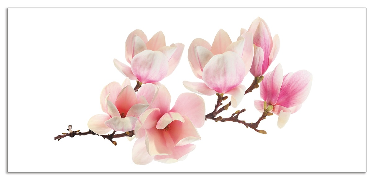Artland Küchenrückwand »Magnolie«