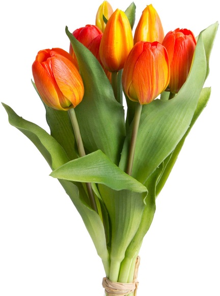 DELAVITA Kunstblume »Willa«, (Set, 7 St.), Tulpenbündel im 7er-Set