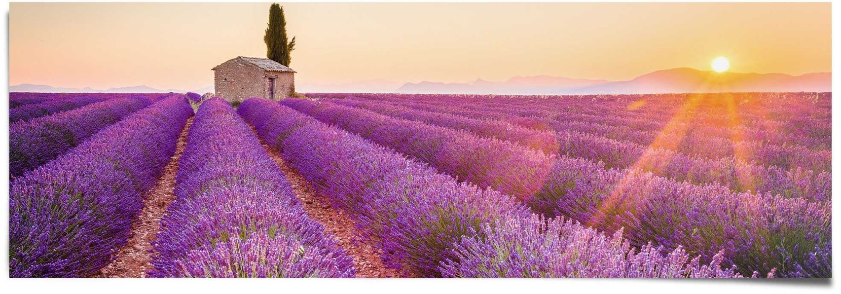 Reinders! Poster »Lavendel Horizont«, (1 St.)