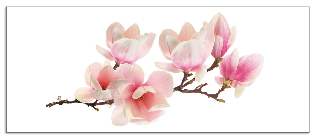 Artland Küchenrückwand »Magnolie«