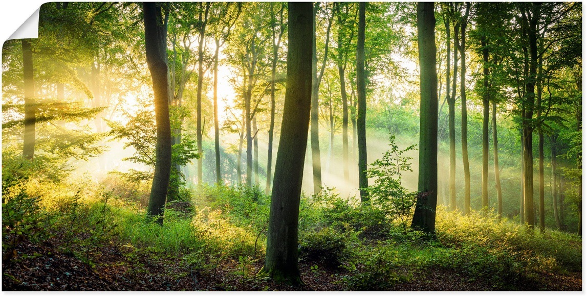 Artland Wandbild »Herbst im Wald II«, Waldbilder, (1 St.), in vielen Grössen & Produktarten - Alubild / Outdoorbild für den Aussenbereich, Leinwandbild, Poster, Wandaufkleber / Wandtattoo auch für Badezimmer geeignet