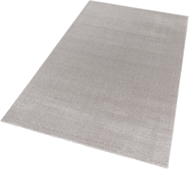 Teppich, »Savona 180«, ASTRA, rechteckig, Höhe 20 mm, maschinell gewebt