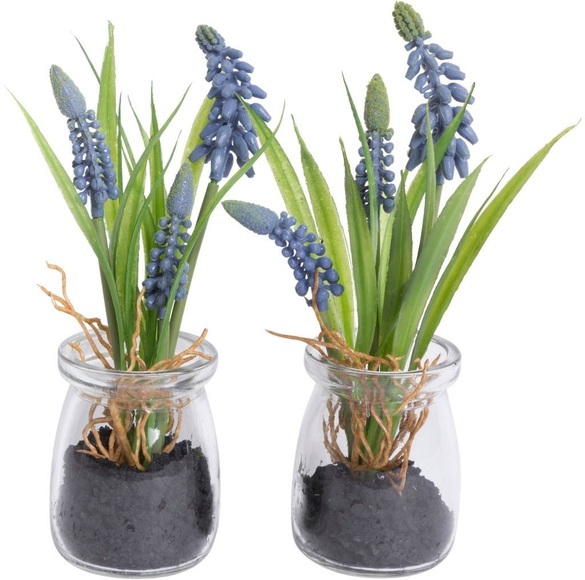Botanic-Haus Kunstblume »Muscariarrangement im Glas«, (Set, 2 St.)