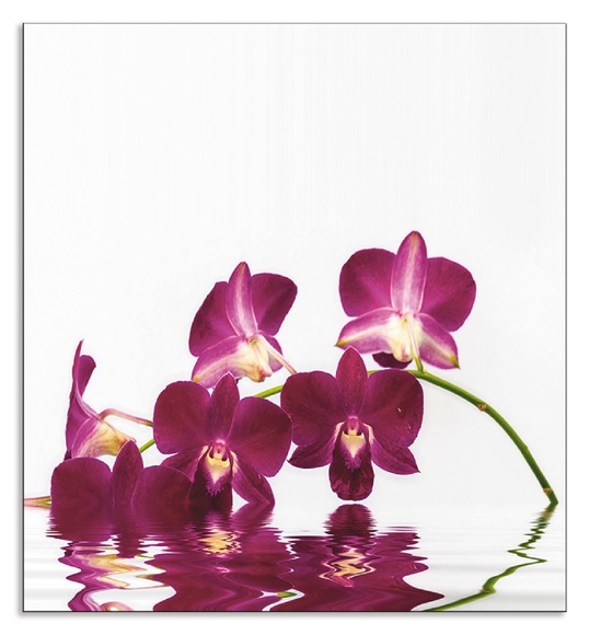 Artland Küchenrückwand »Phalaenopsis Orchidee«, (1 tlg.), Alu Spritzschutz mit Klebeband, einfache Montage