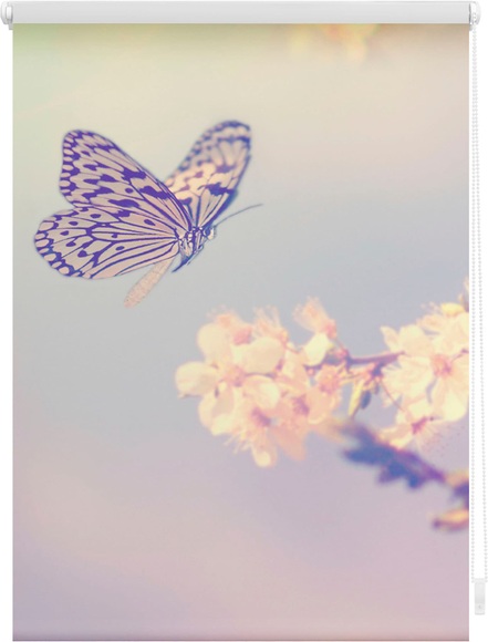 Seitenzugrollo, Lichtblick, »Schmetterling«, Klemmfix, Kettenzug, Lichtschutz, Fixmass, ohne Bohren