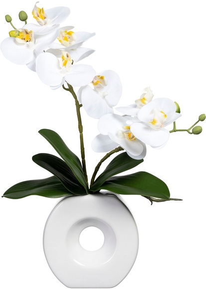 Creativ green Kunstorchidee »Phalaenopsis« (1 Stück)