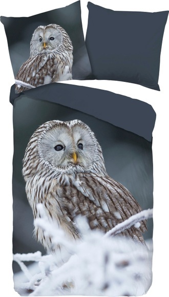 good morning Wendebettwäsche »Bennie«, (2 tlg.), mit Schneeeule