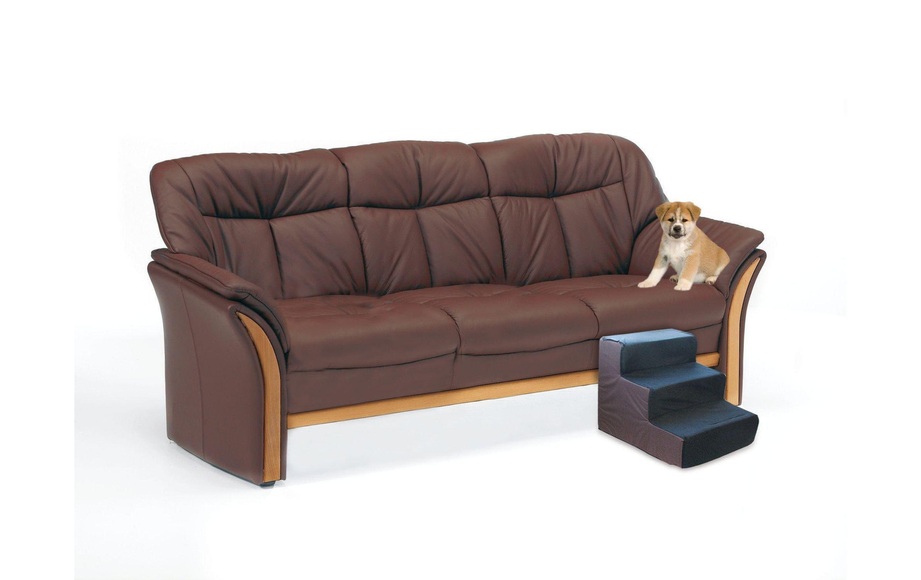 SwissPet Hundetreppe Tibbo schwarz, 44x36x36cm Hunde Zubehör
