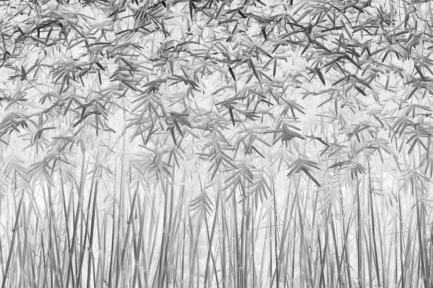 Papermoon Fototapete »Photo-Art JEFFLIN LING, PARALLELITÄT«, Vliestapete, hochwertiger Digitaldruck, inklusive Kleister