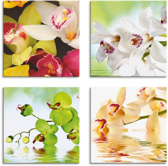 Artland Leinwandbild »Orchideen Blumen«
