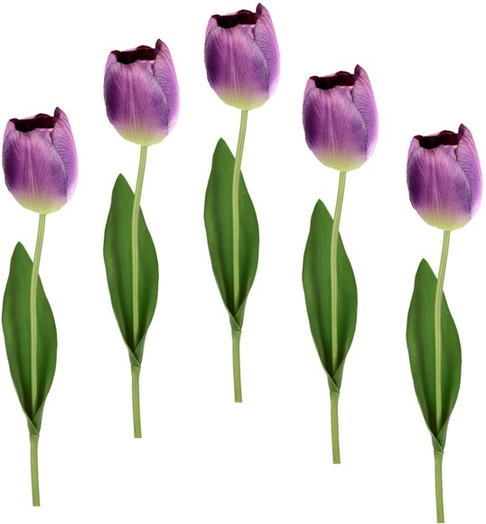 I.GE.A. Kunstblume »Real Touch Tulpen«, (5 St.), 5er Set künstliche Tulpenknospen, Kunstblumen, Stielblume