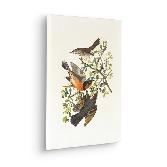 Komar Wandbild »Heidi«, (1 St.), Keilrahmenbild - Heidi - Grösse 30 x 40 cm