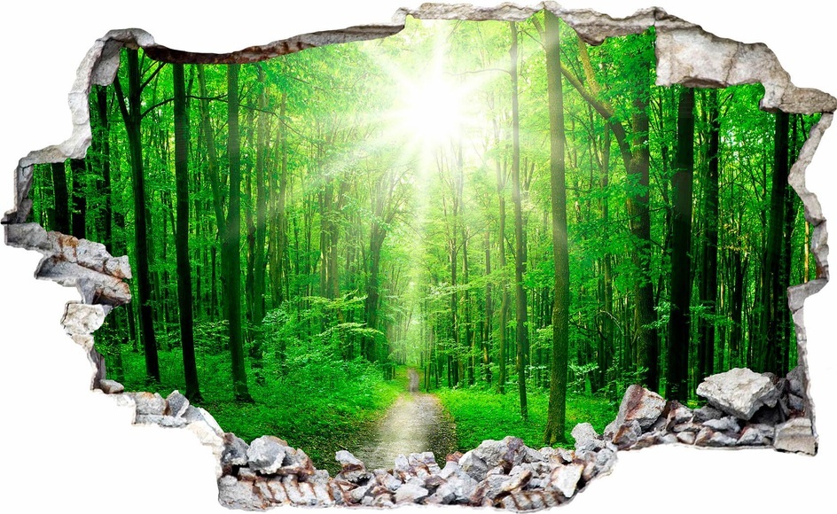 Wandtattoo »Sunny Forest«