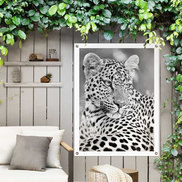 Reinders! Poster »Leopard«, Outdoor für Garten oder Balkon