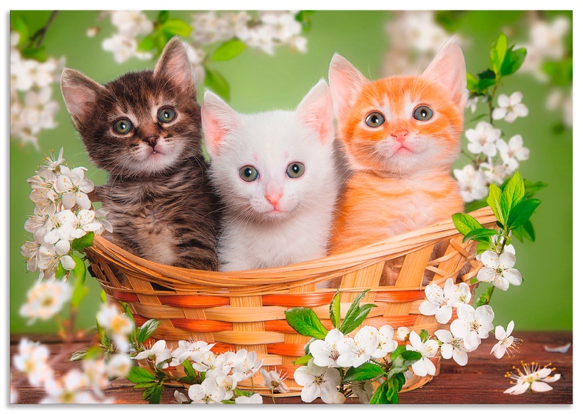 Artland Wandbild »Katzen sitzen in einem Korb«