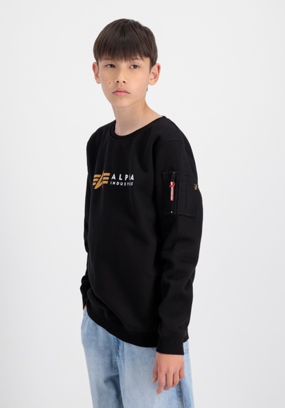 Alpha Industries Sweater »Alpha Industries Kids - Sweatshirts«