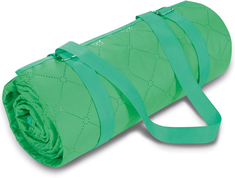 Biederlack Picknickdecke »Ultrasonic«, mit Tragegurt