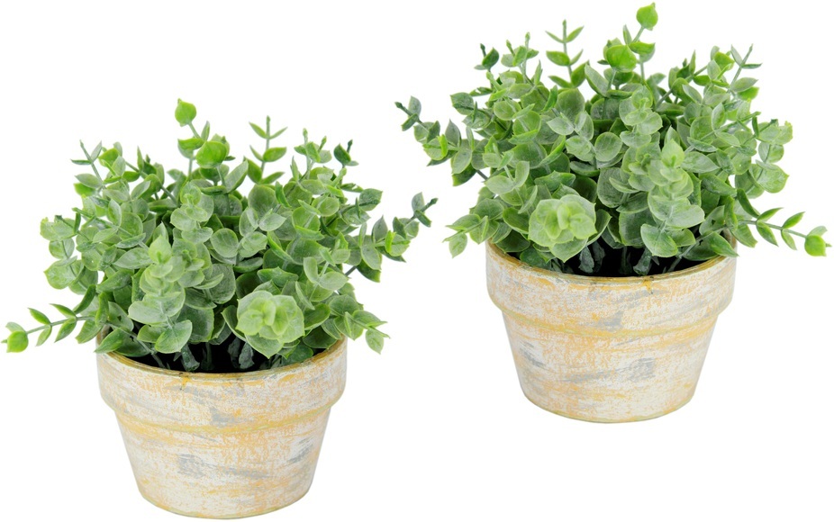 I.GE.A. Kunstpflanze »Künstlicher Eukalyptus im Topf 2er Set Pflanze«, Deko Blume für Hochzeit Plastikpflanze Kräuter Deko-Kräuter