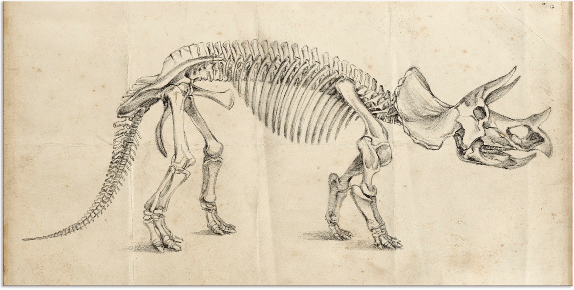 Artland Wandbild »Dinosauria Lehre II«