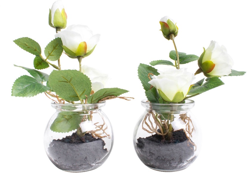 Botanic-Haus Kunstblume »Rosen im Glas«, (Set, 2 St.)