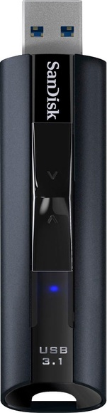Sandisk Sdcz880-256G-G46 - USB-Stick (256 GB, Schwarz)