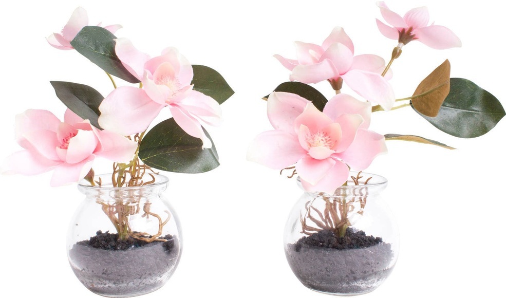 Botanic-Haus Kunstblume »Magnolie im Glas«, (Set, 2 St.)