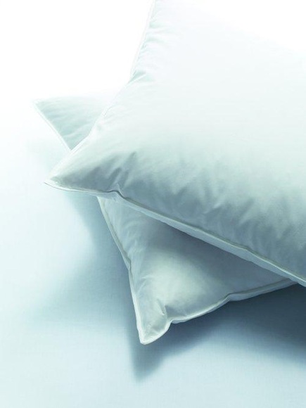 billerbeck - Kopfkissen CASA WOOL - Baumwolle - weiss - 50/90 cm