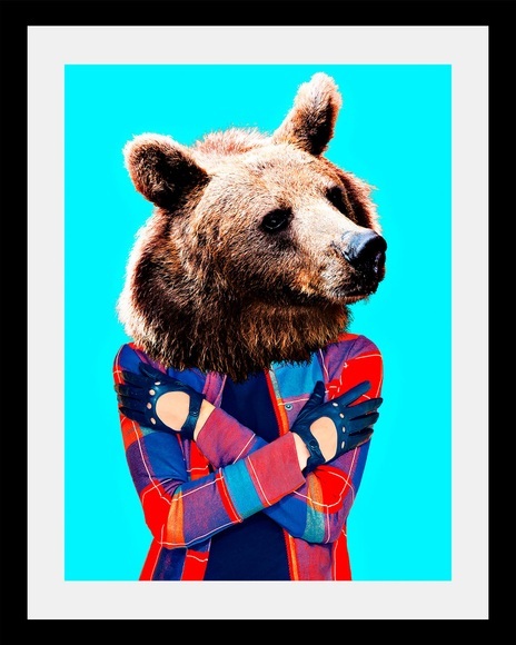 Bild »Bär«
