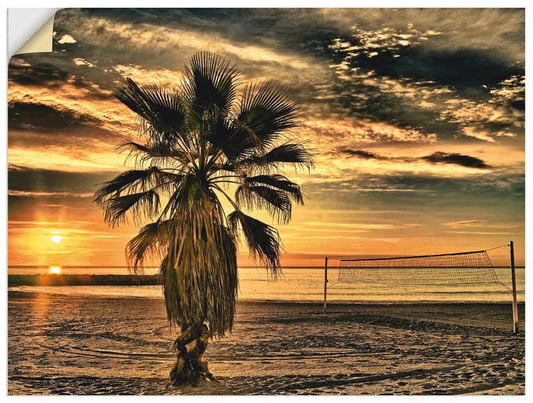 Artland Wandbild »Palme bei Sonnenuntergang«