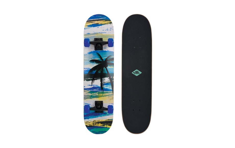 Skateboard Slider Aloha Unisex Multicolor