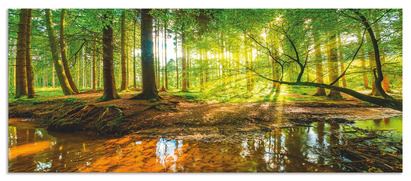 Artland Küchenrückwand »Wald mit Bach«