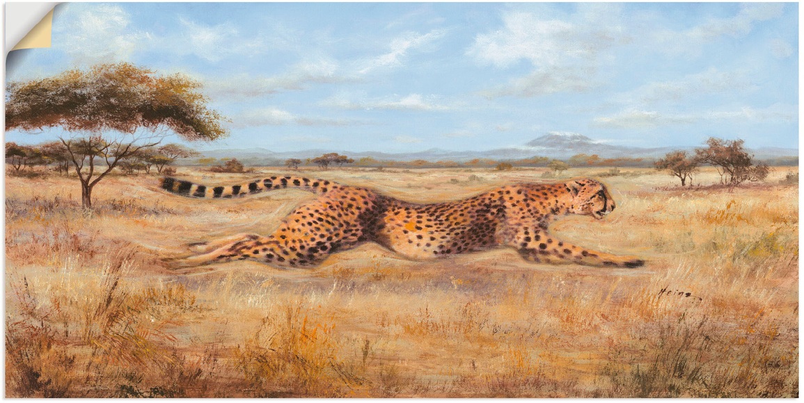Artland Wandbild »Laufender Gepard«