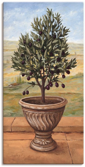 Artland Wandbild »Olivenbaum«