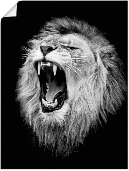 Artland Wandbild »Der Löwe«, Wildtiere, (1 St.), in vielen Grössen & Produktarten - Alubild / Outdoorbild für den Aussenbereich, Leinwandbild, Poster, Wandaufkleber / Wandtattoo auch für Badezimmer geeignet