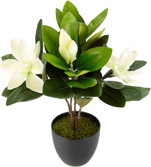 I.GE.A. Kunstblume »Magnolie«, Im Topf Magnolienbusch künstlich Frühling Seidenblumen Raumdeko