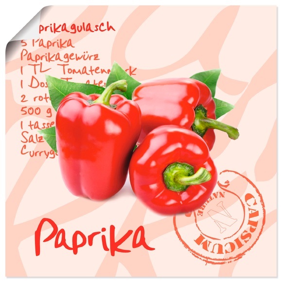 Artland Wandbild »Paprika liegt auf weissen Untergrund«